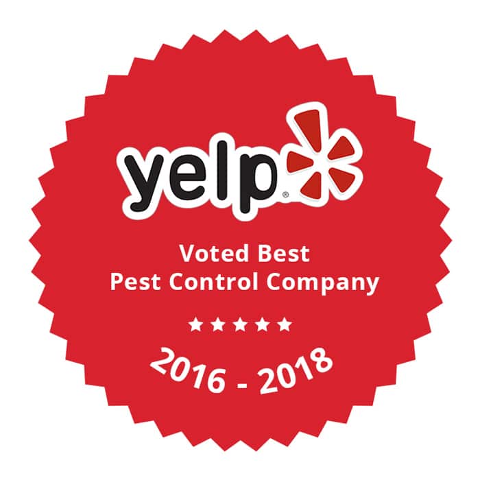 voted best pest