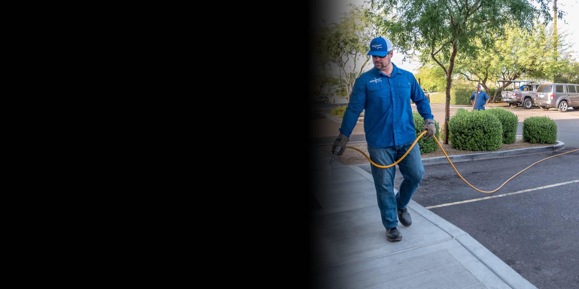 commercial pest control phx