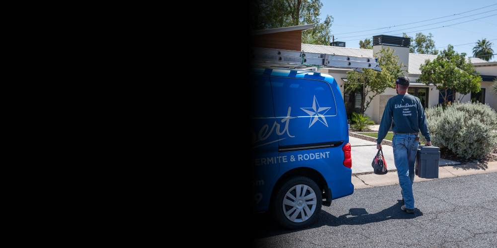 pest control phoenix
