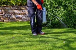 Image of man performing pest control featured on a blog about green pest control and benefits