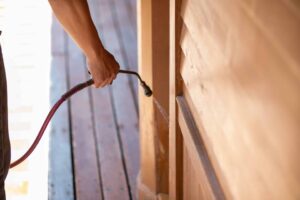 Termite spraying