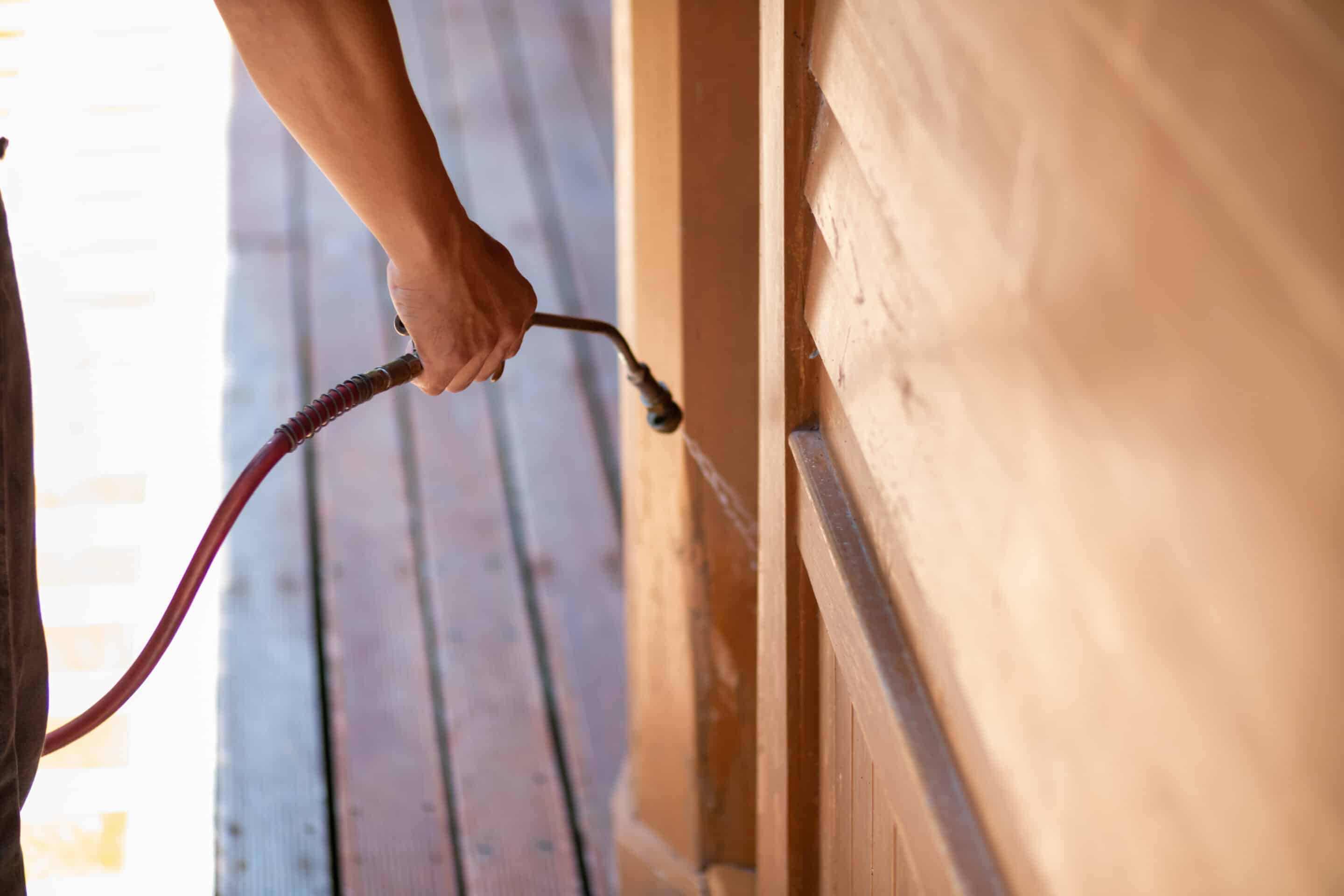 Termite spraying