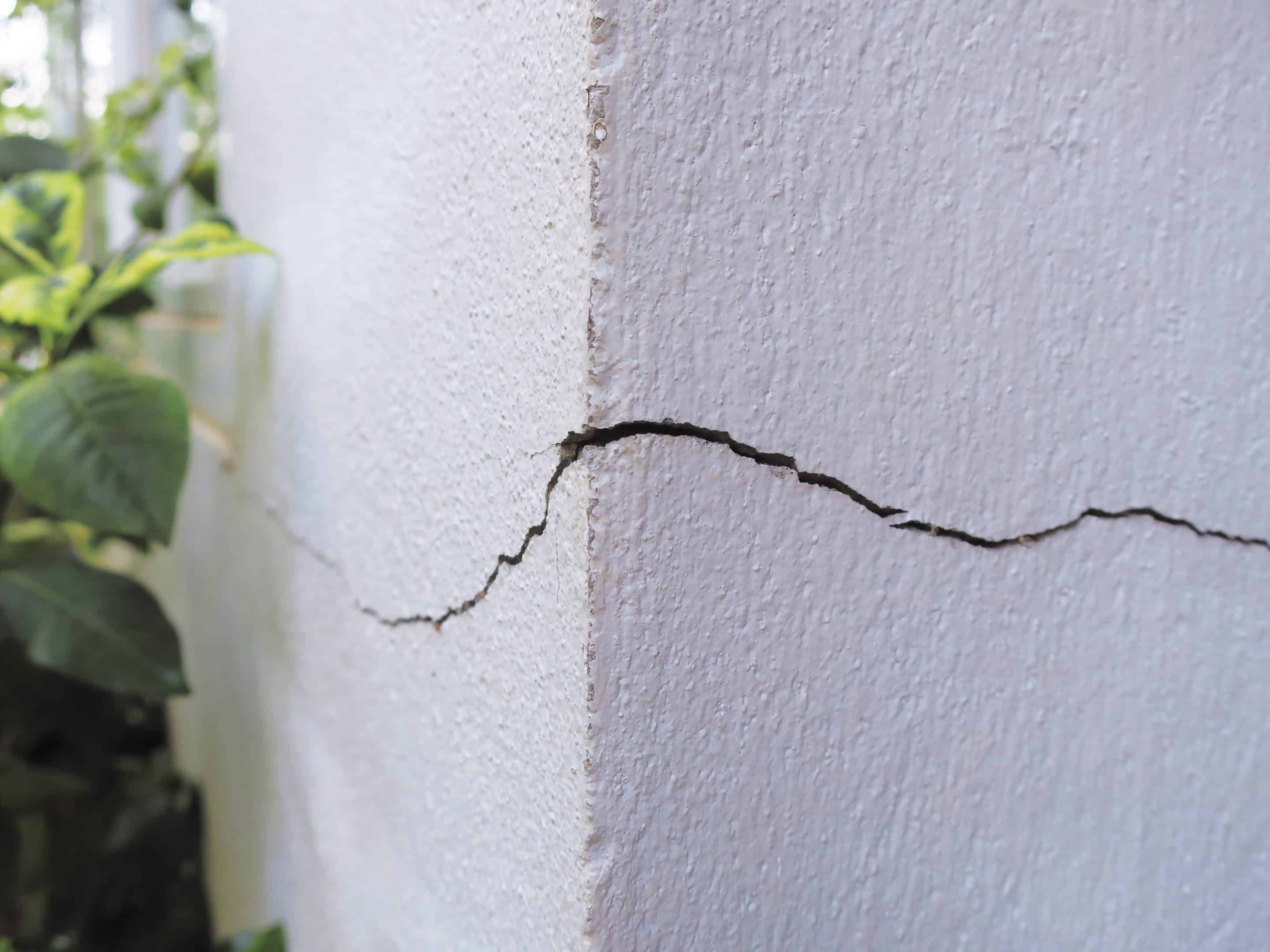 Crack in homes foundation that leads to rodents