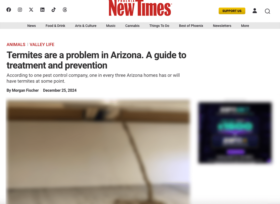 Article screen shot
