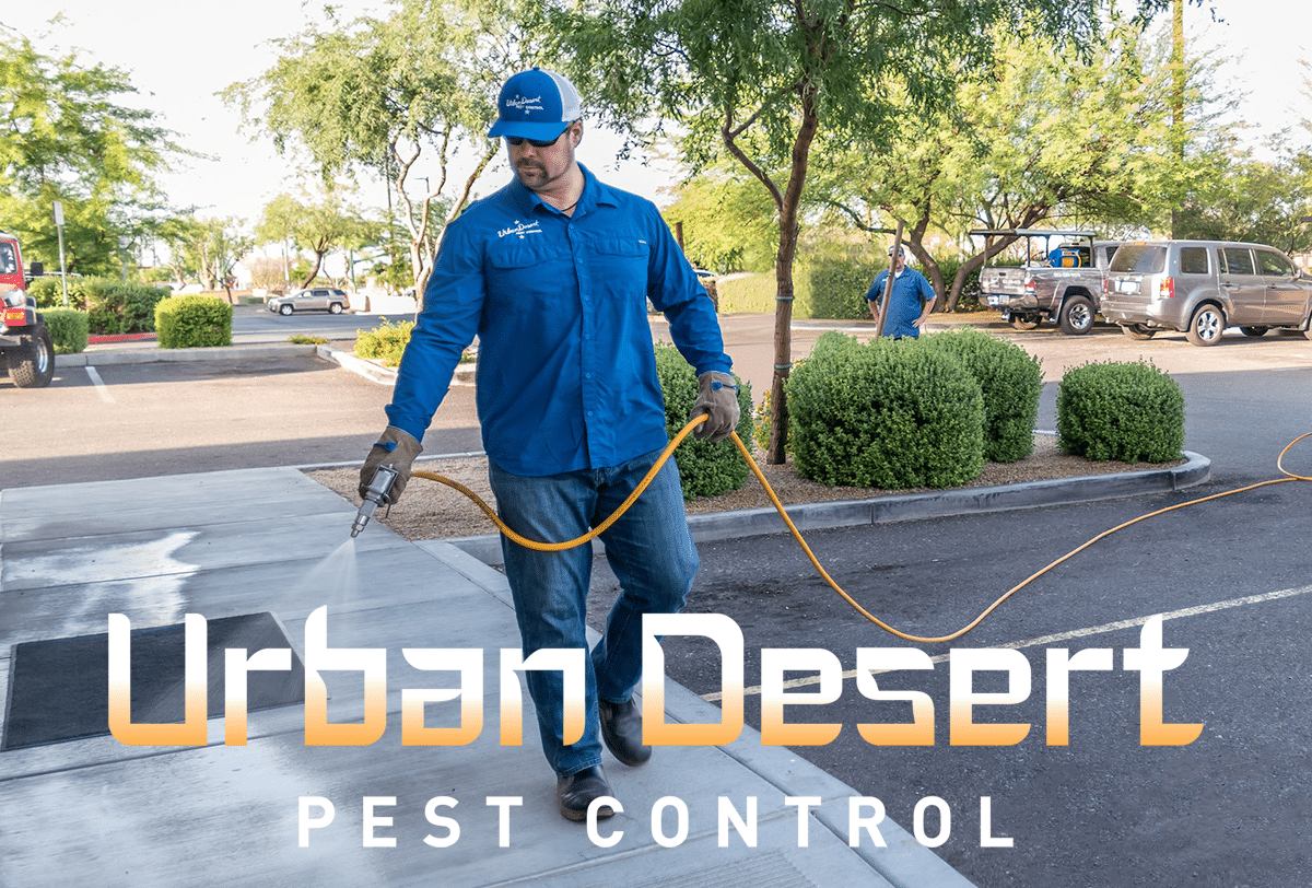 Urban Desert Pest Control - Pest Control in Phoenix