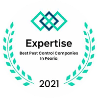 Expertise Award